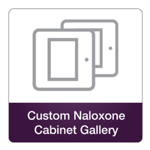 Custom Cabinet Gallery